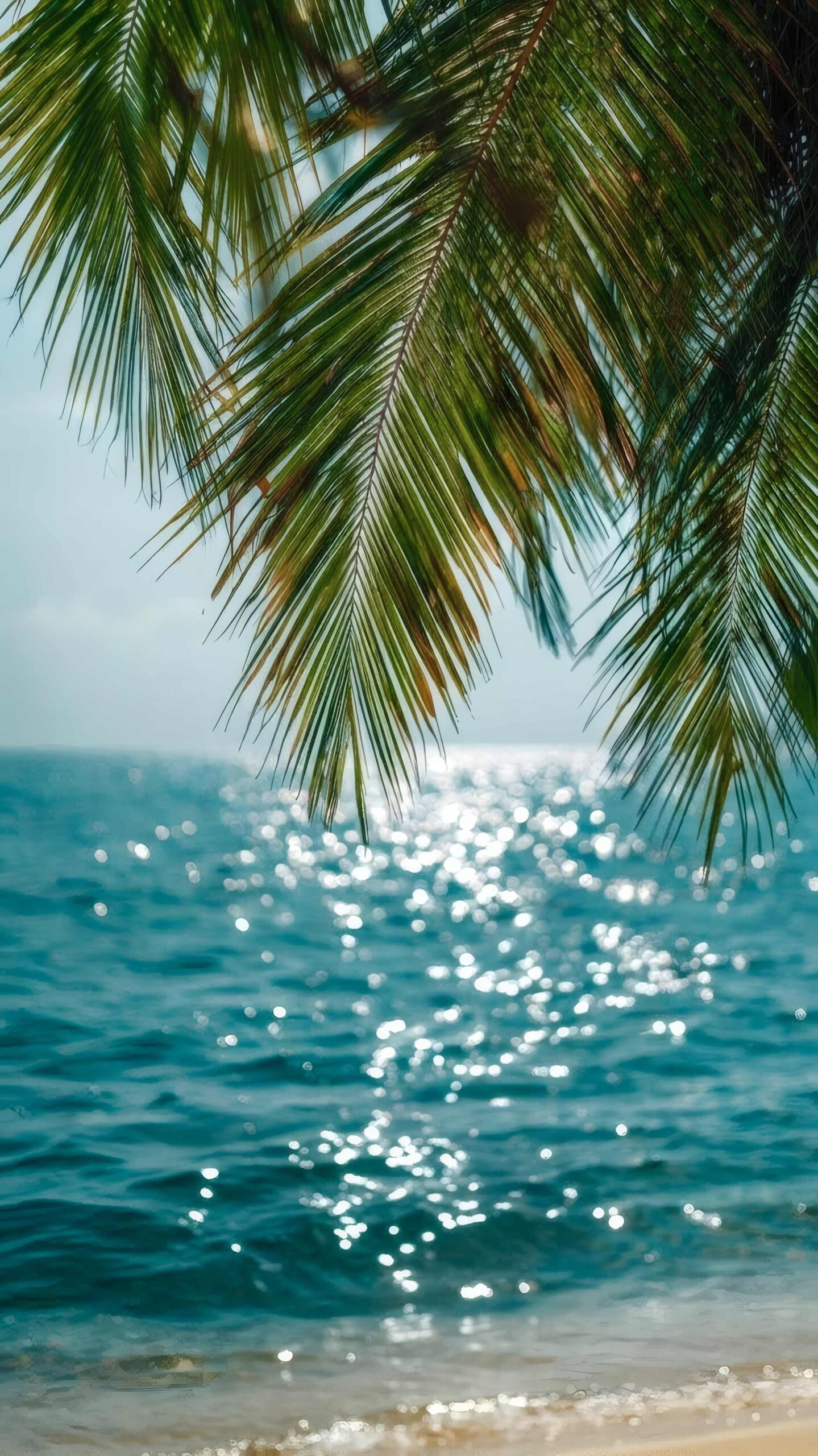 Free Coastal Escapes Wallpapers